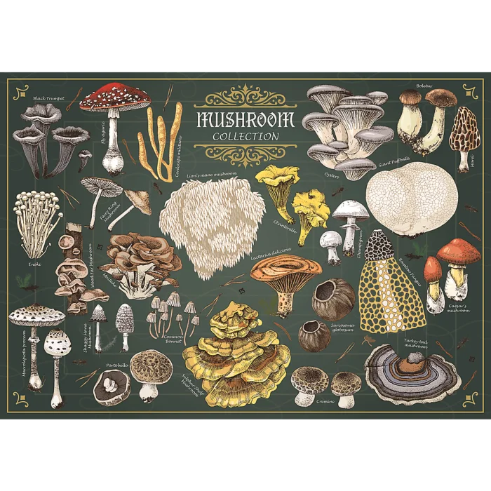 Trefl Premium Plus Mushrooms (500 Pieces)
